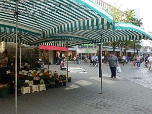 Auf dem Markt am Domplatz